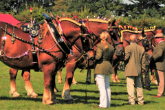 Suffolk Horse Spectacular - Marks Hall Coggeshall 2018