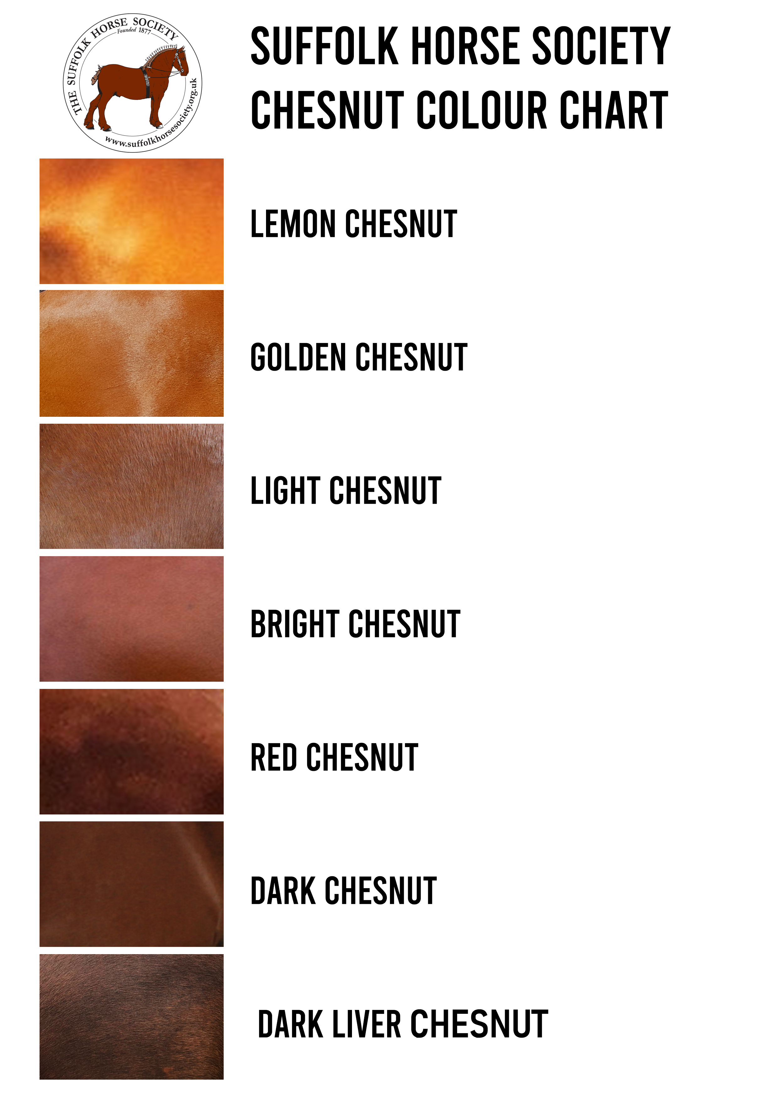 SOFOLK COLOR CHART