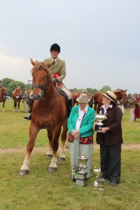 Supreme Champion Suffolk Horse in the Show, and winner of the best ridden class– Euston Dazzling Countess 28808 (Euston Estate and Fiona Clarke)