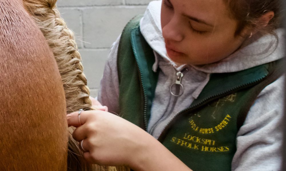 Training Day - Braiding and Showing-1